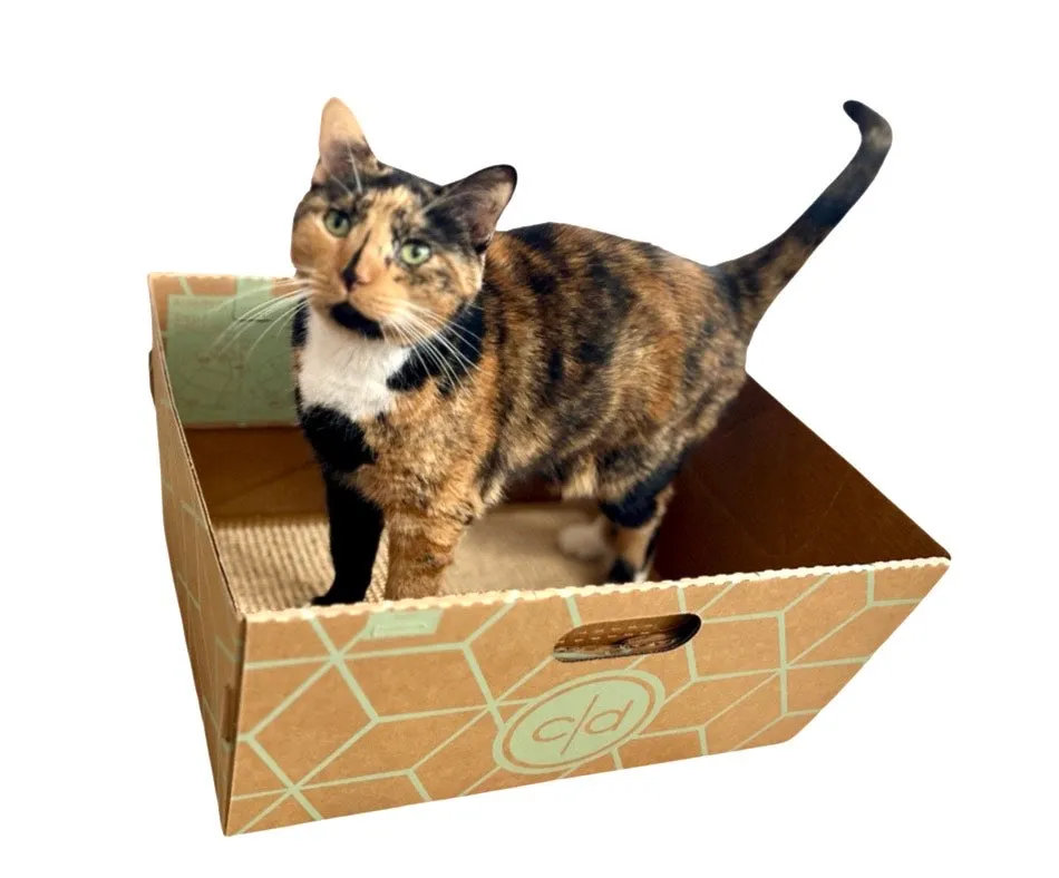 Cats Desire Cat House with Scratcher Mat and Catnip pouch