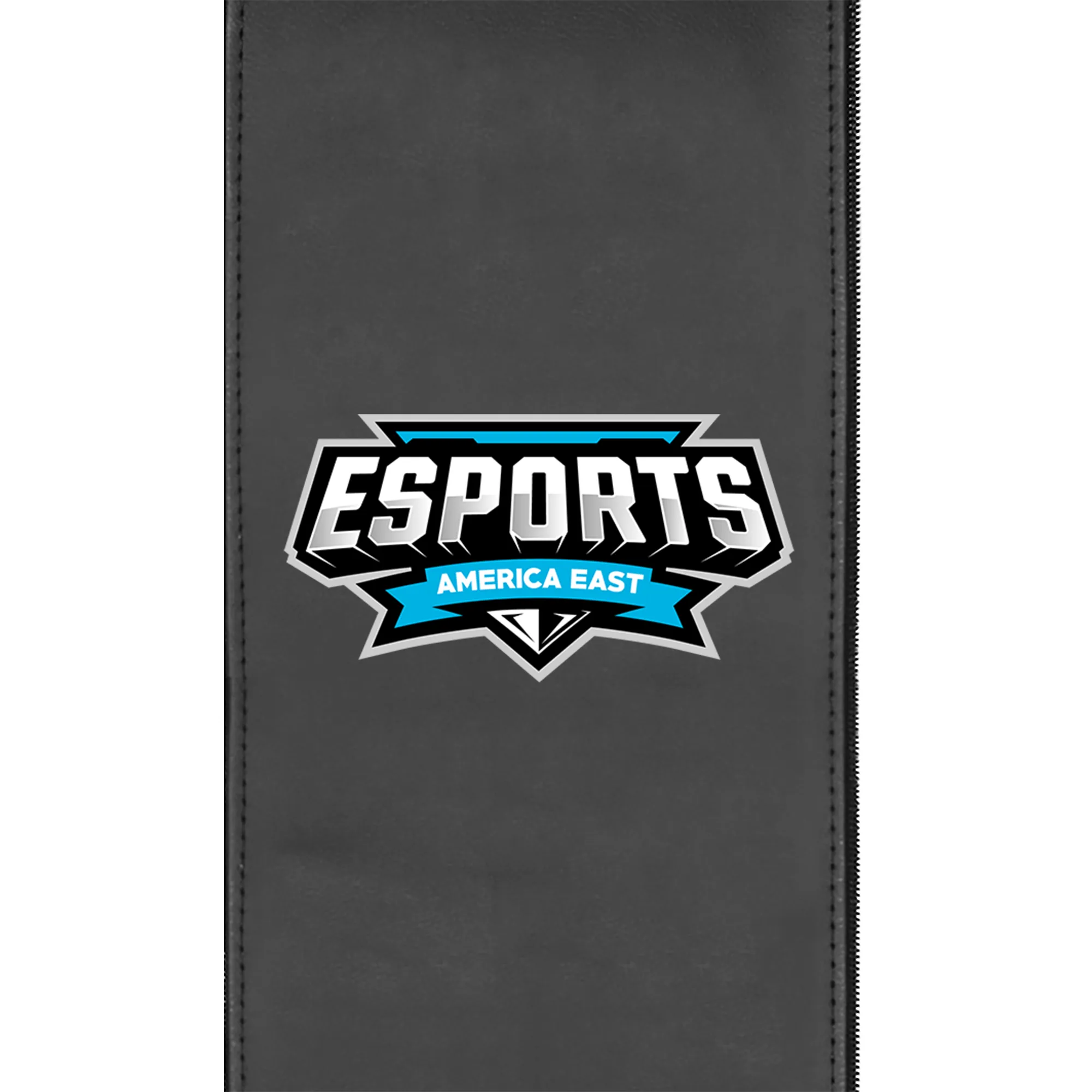 Game Rocker 100 with American East Esports Conference Logo